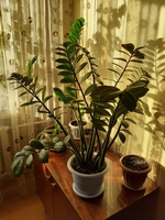 Продается 2-х комнатная квартира на 26 квартале (район Олимпийского мишки) - Изображение #1, Объявление #1709816