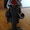 продаю итальянский скутер PEDA EAGLE 150куб - Изображение #2, Объявление #779403